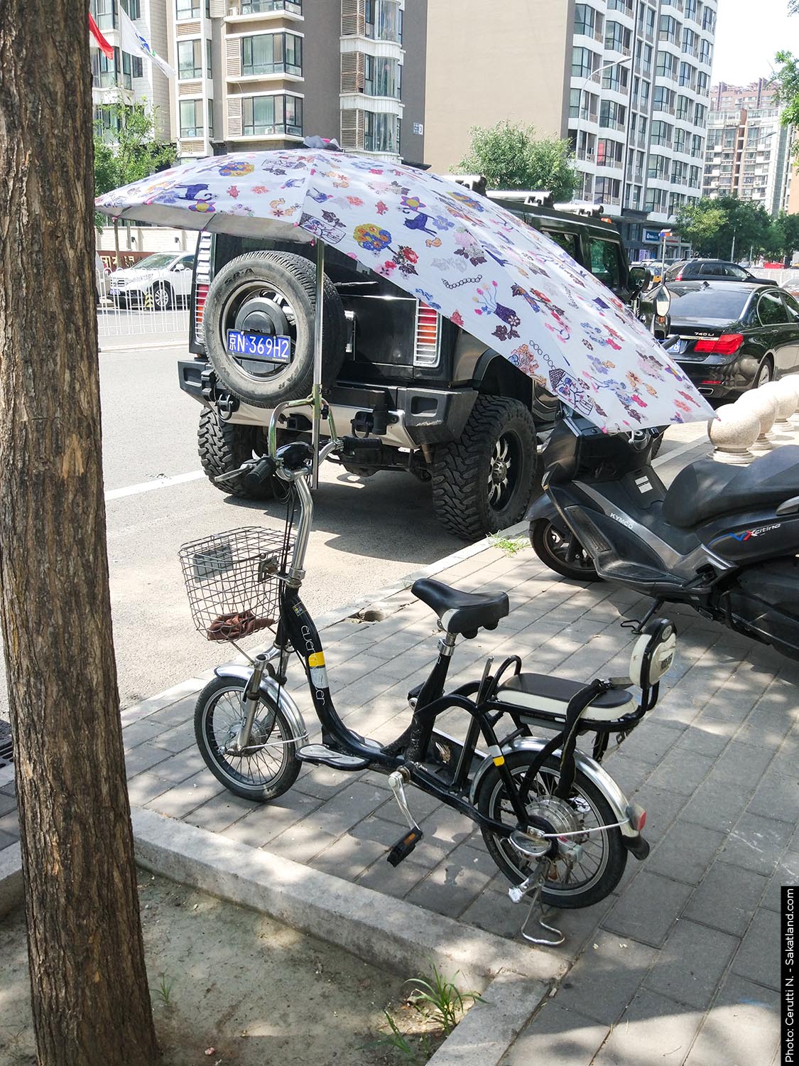 Velo_Parasol.jpg
