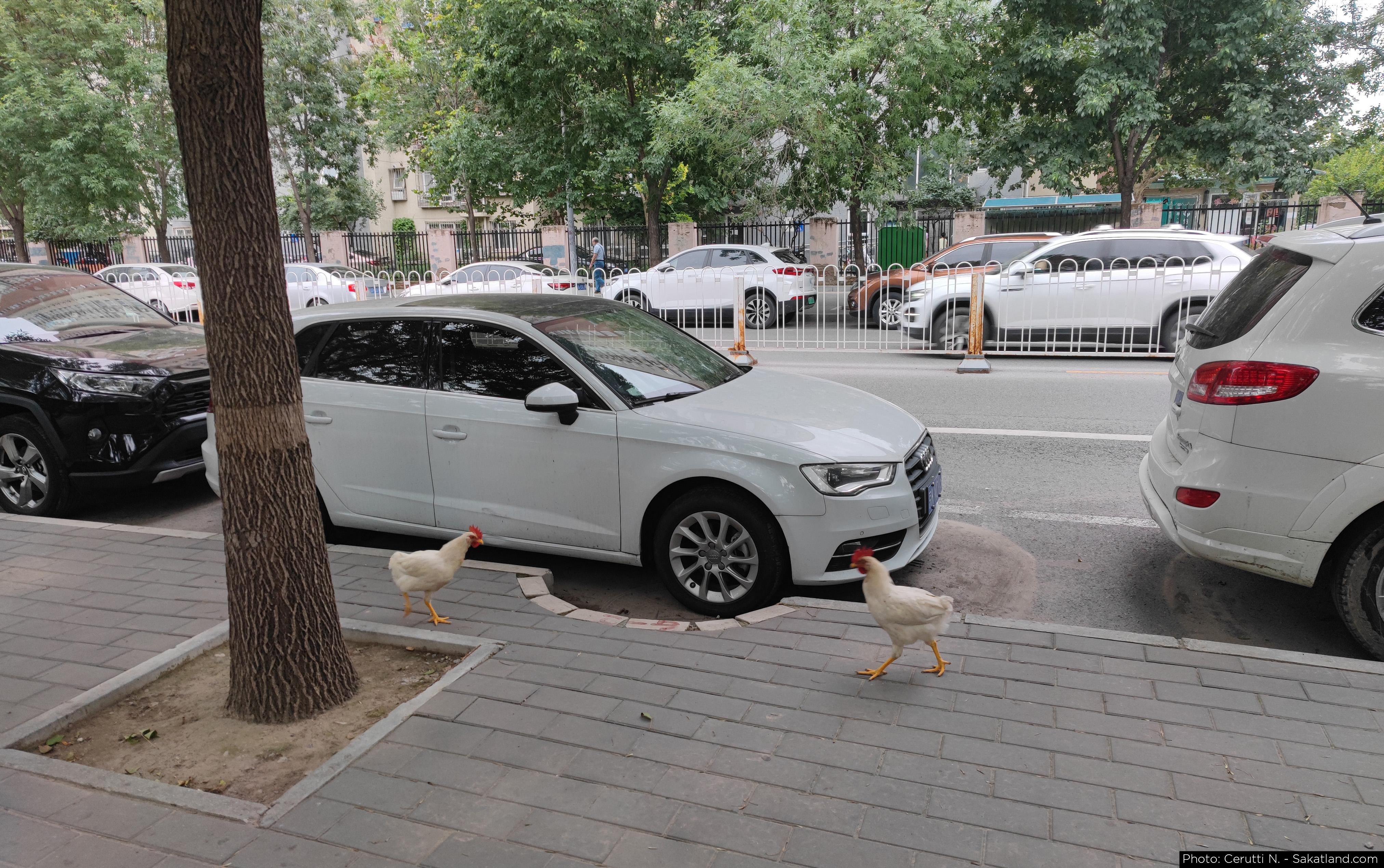 Various_Street_02.jpg