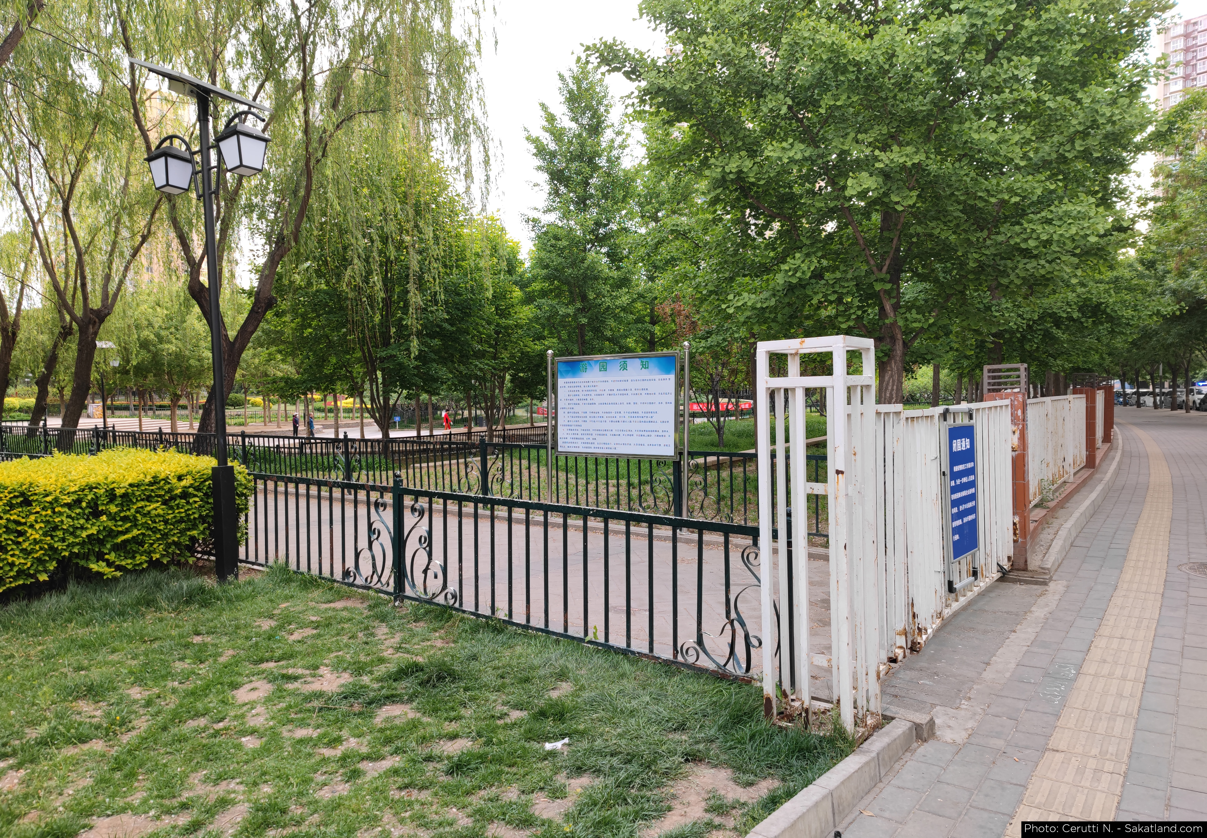 Various_Street_05.jpg