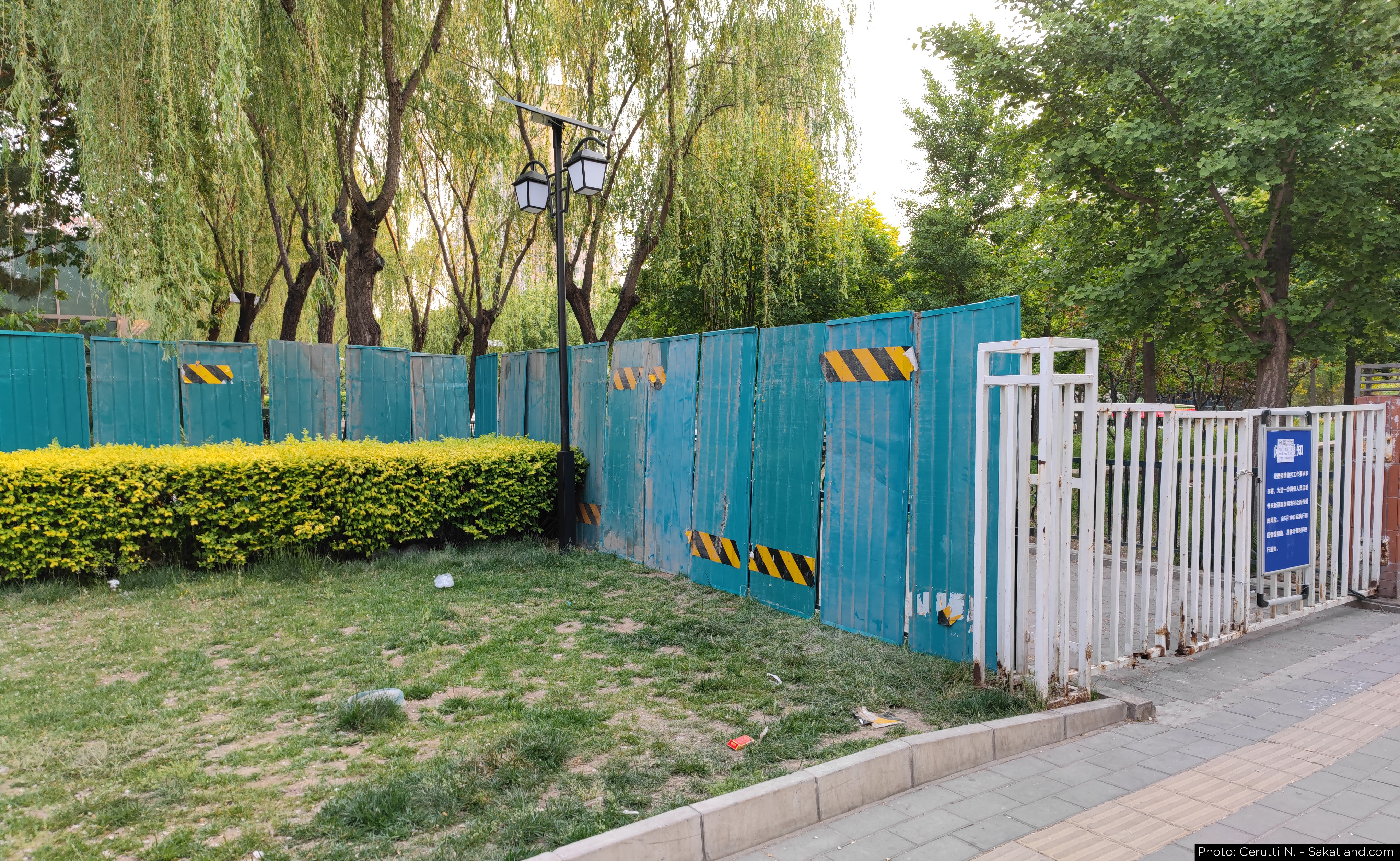 Various_Street_06.jpg