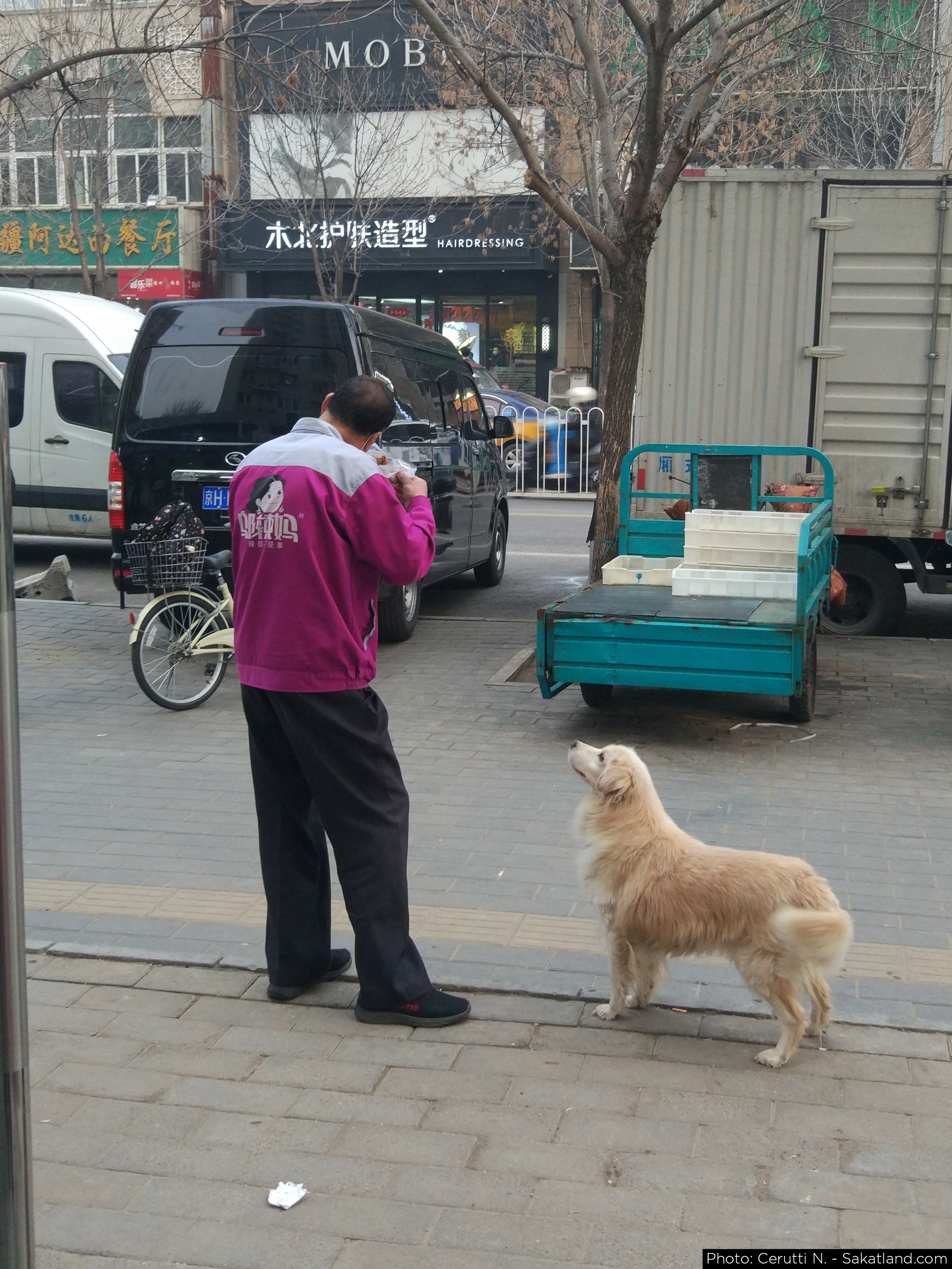 Various_Street_08.jpg