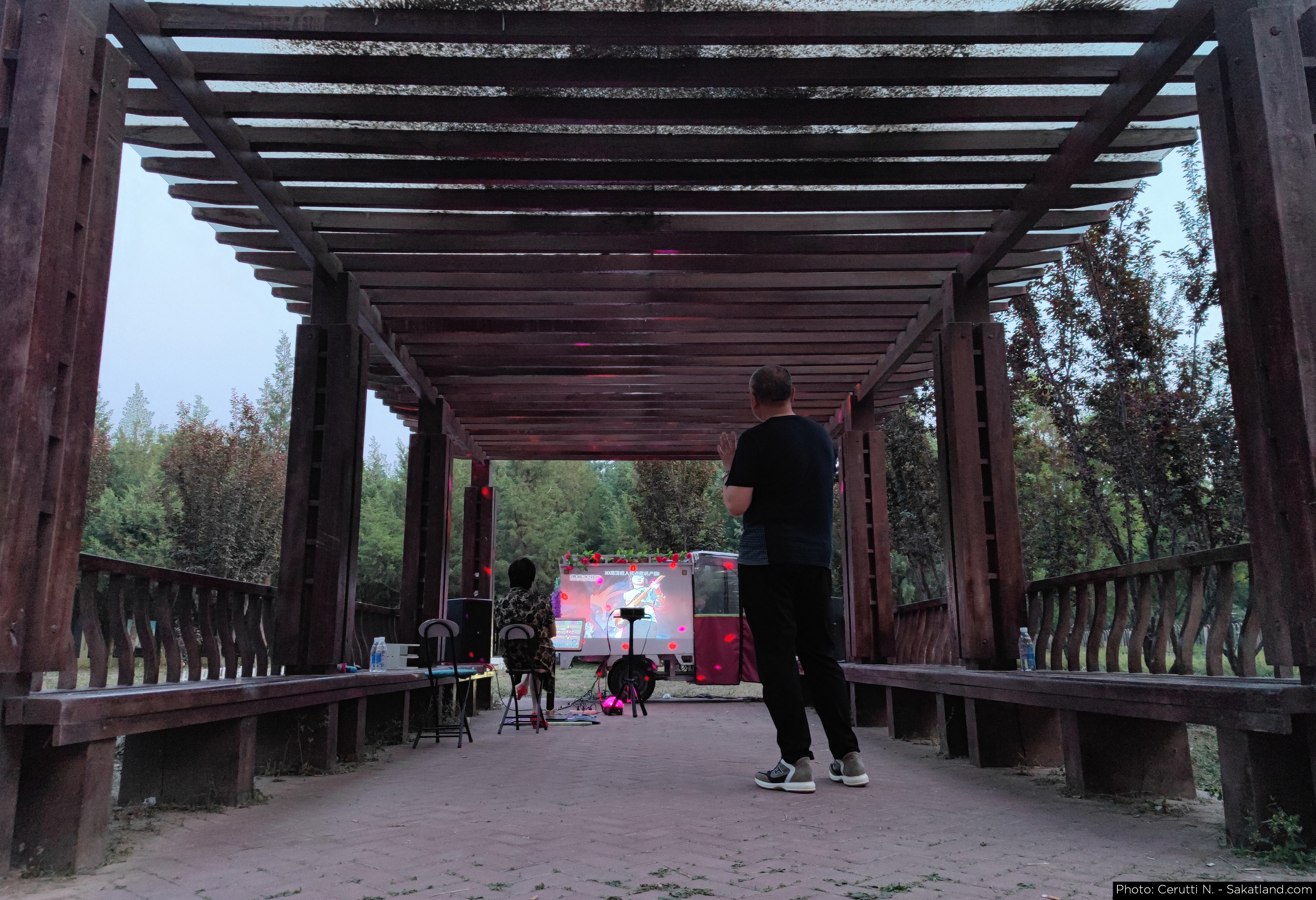 Wild_KTV_01.jpg