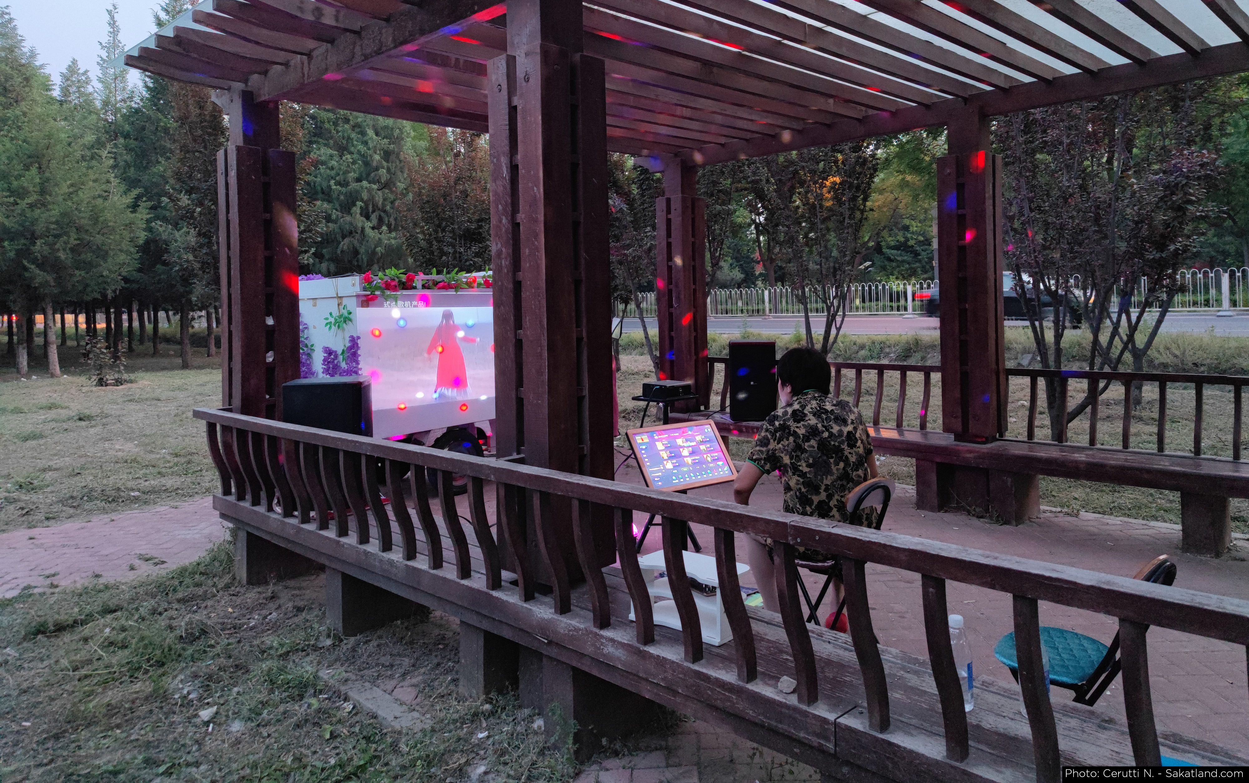 Wild_KTV_02.jpg