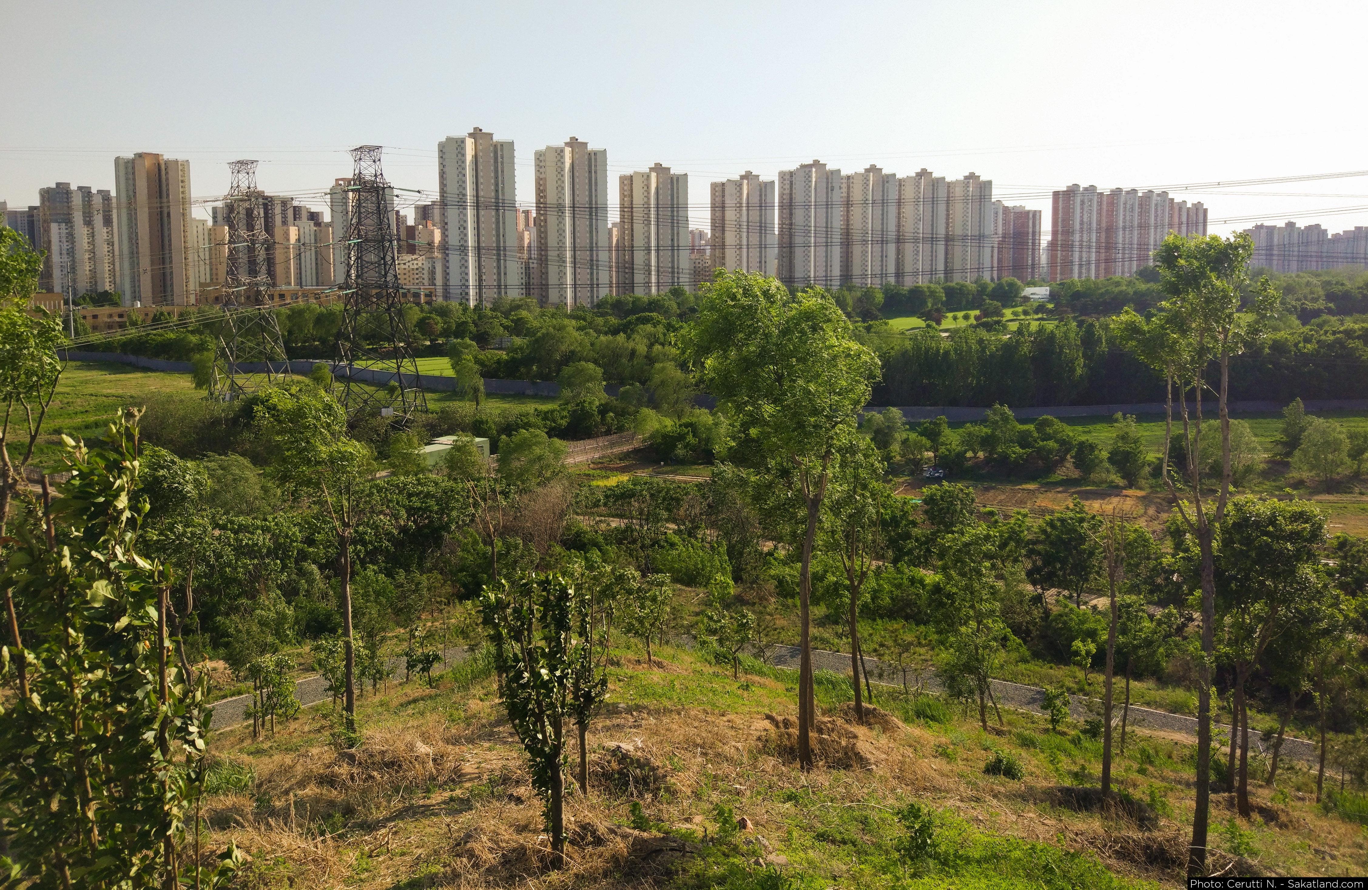 Changying_03.jpg