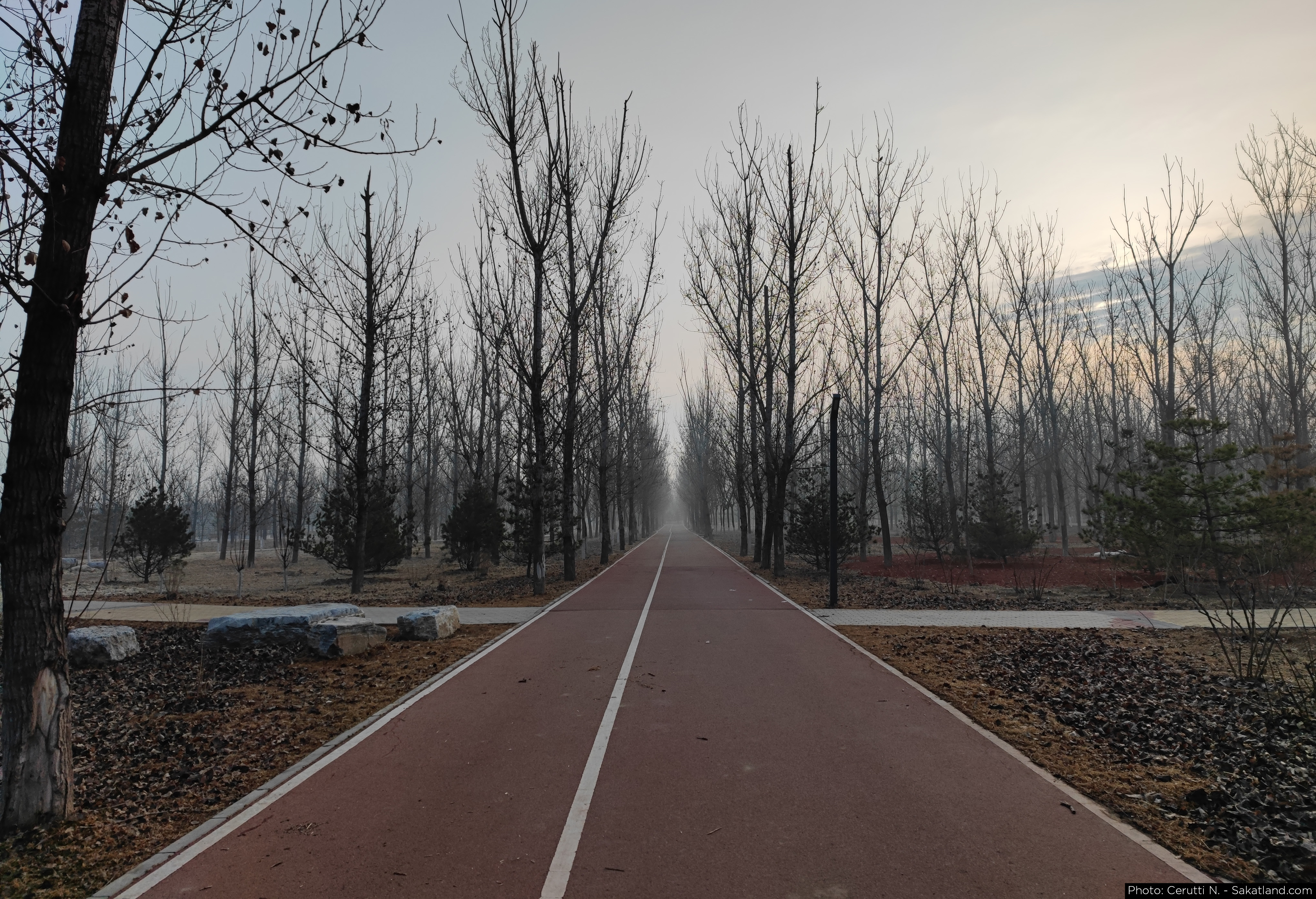 Changying_04.jpg