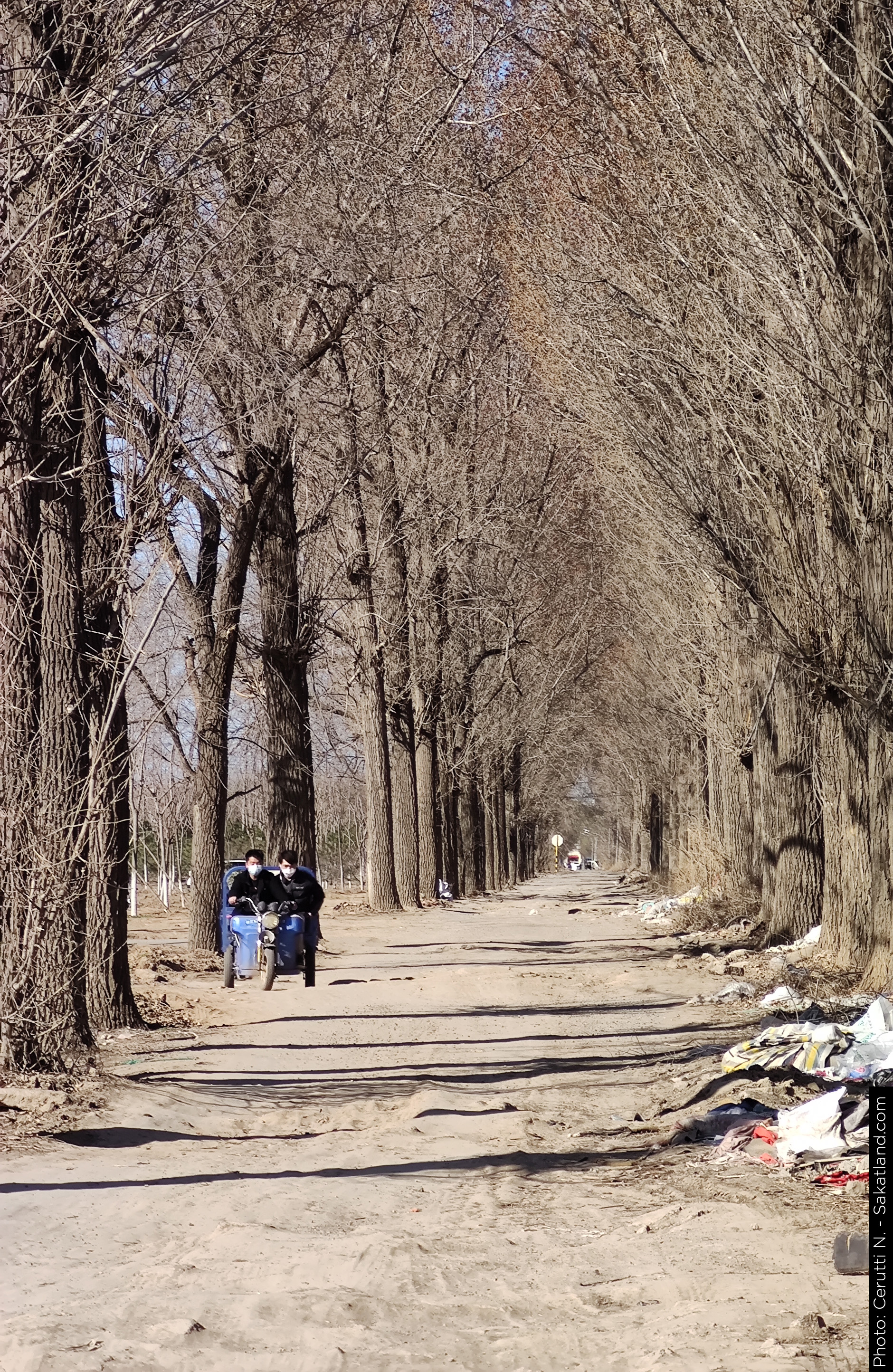 Shared_Bike_Trip_03.jpg