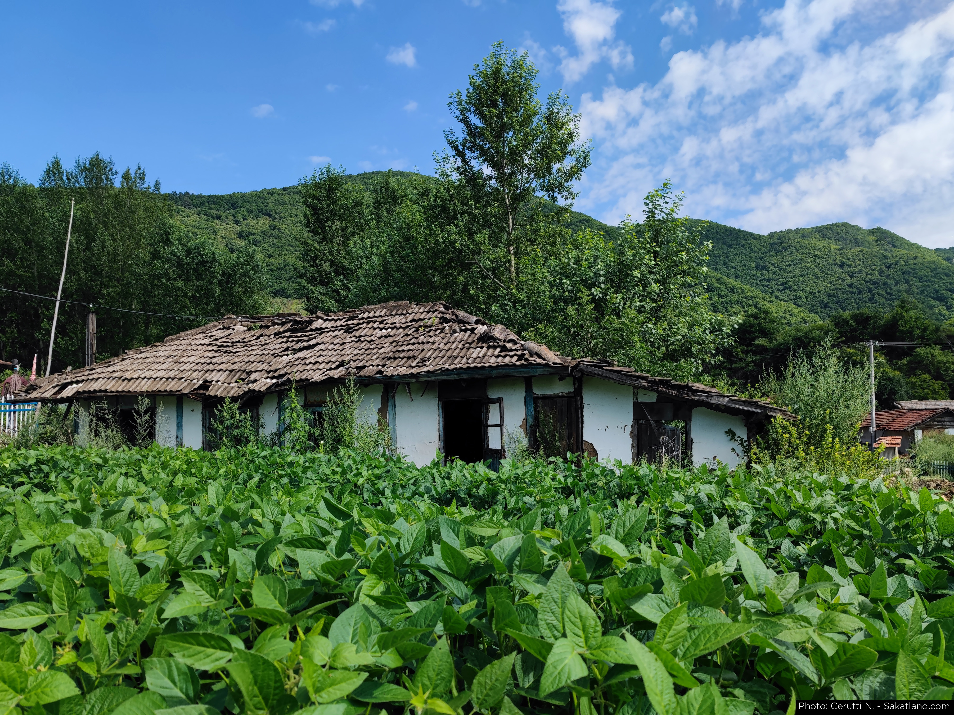 Yanbian_Summer_Village_01.jpg
