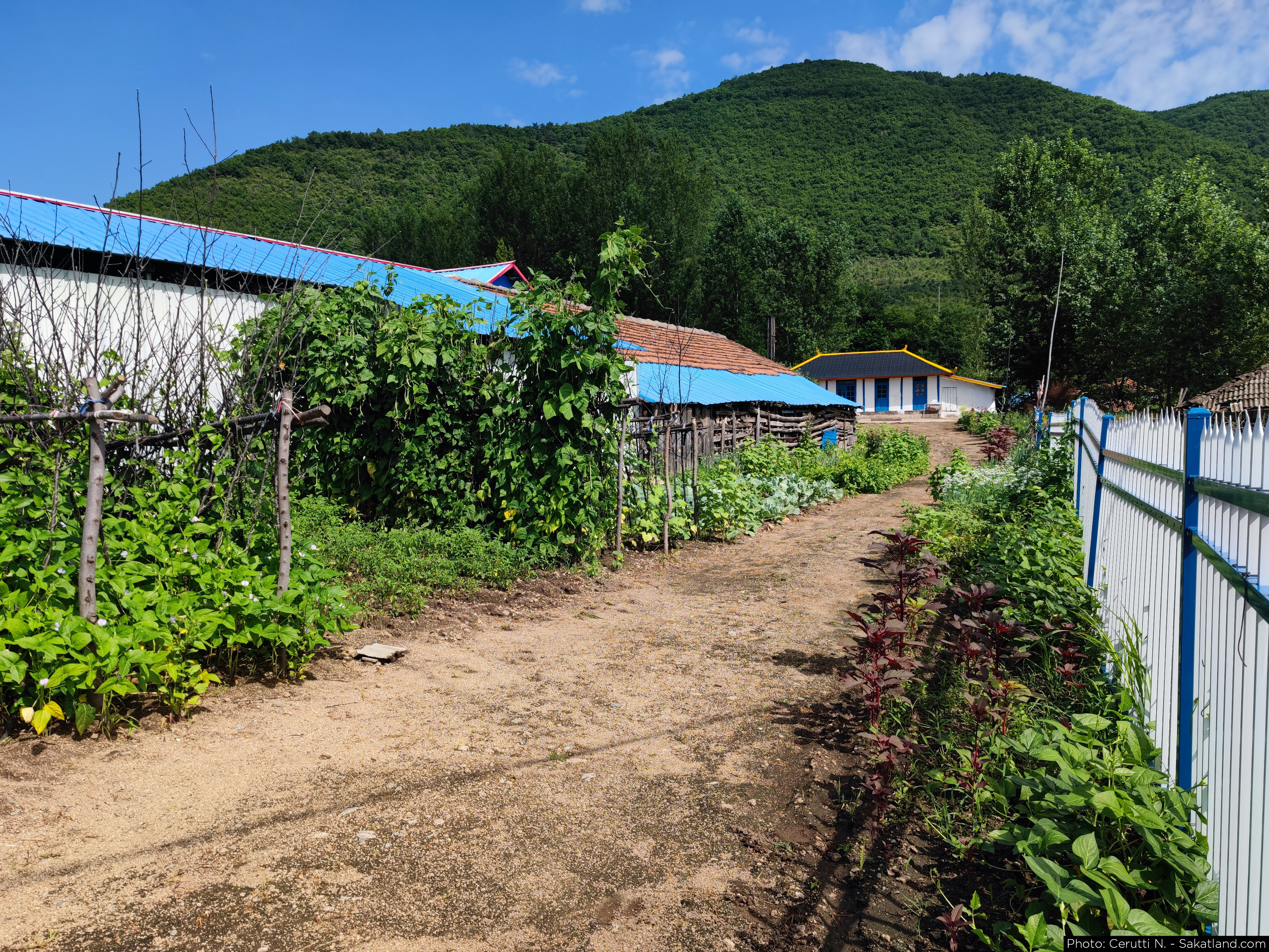Yanbian_Summer_Village_02.jpg
