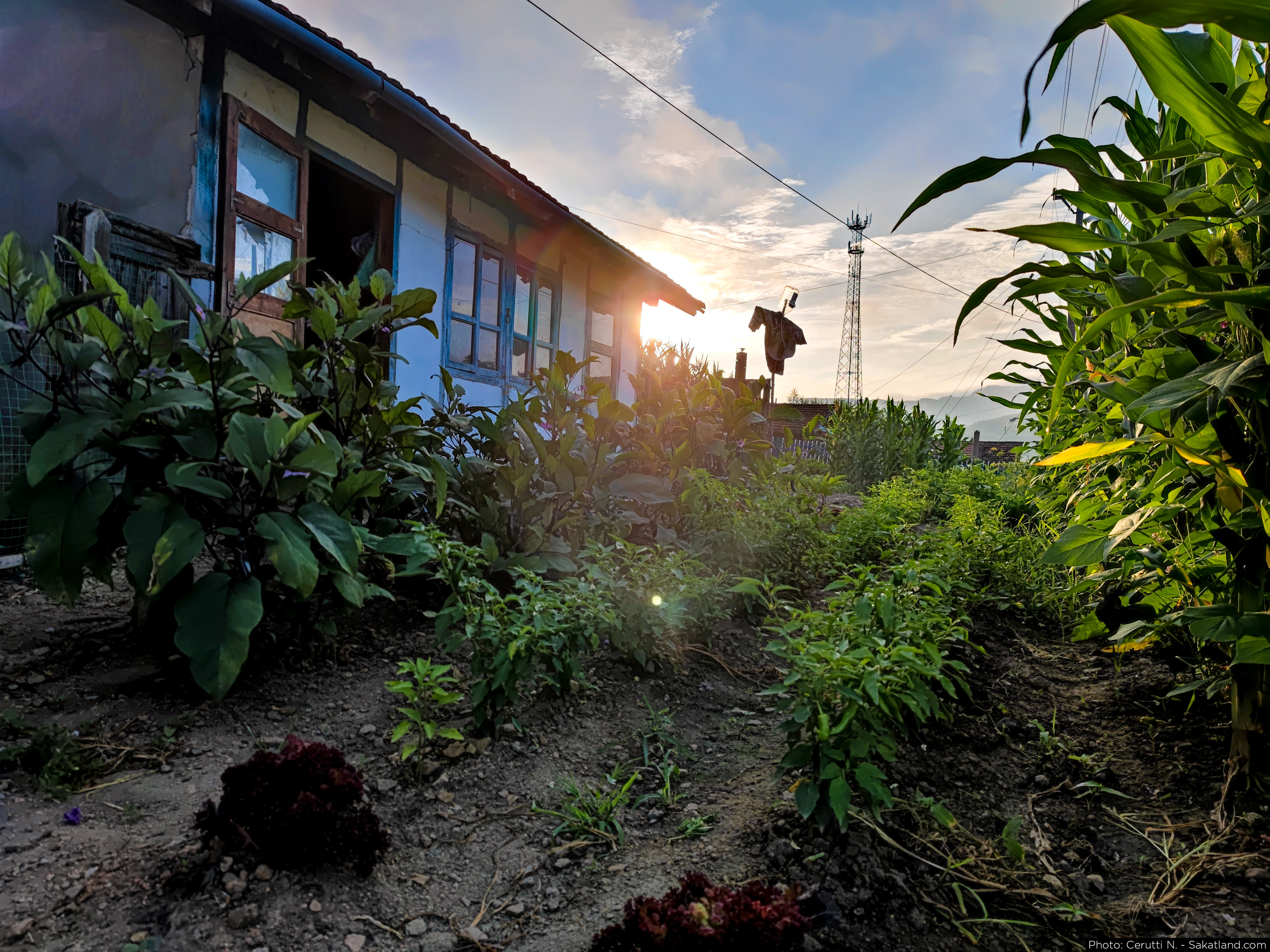 Yanbian_Summer_Village_03.jpg