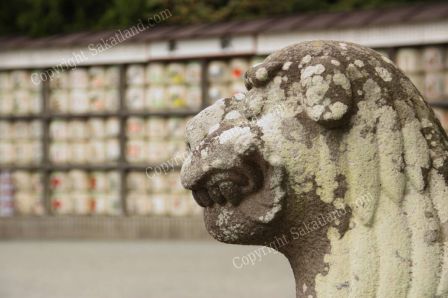 Kamakura_Dog2.jpg