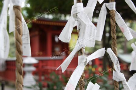 Kamakura_Voeux.jpg