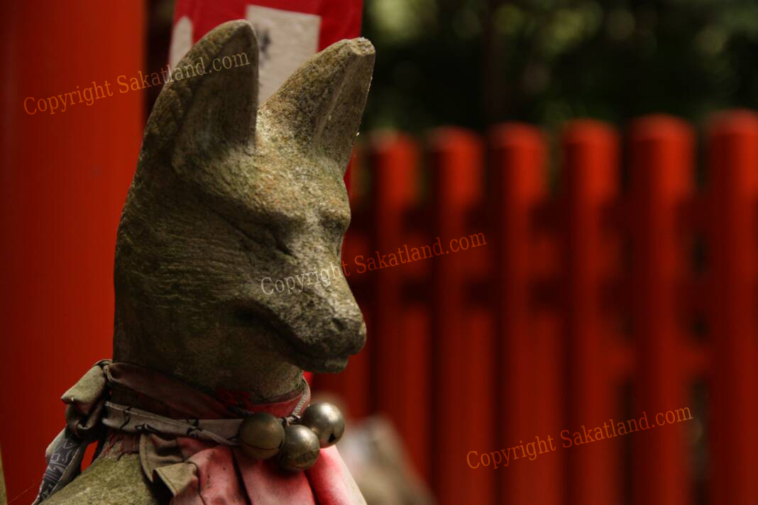 Kamakura_Dog.jpg