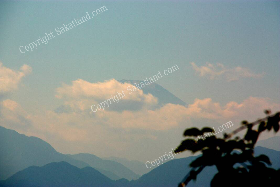 Takaosan_Fujisan.jpg