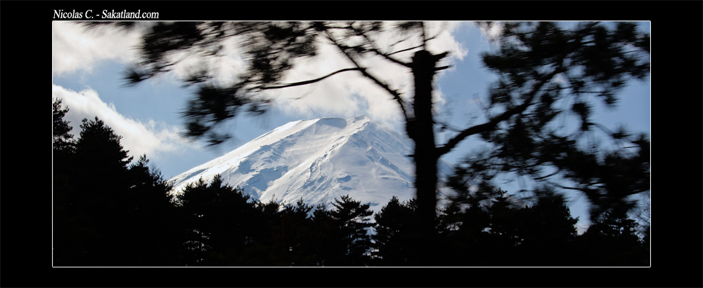 Sortie_automne_Fujisan.jpg