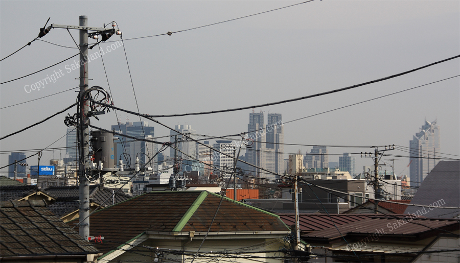Shinjuku.jpg
