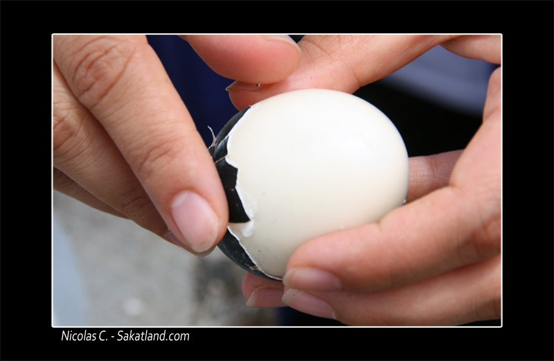 Fujisan_Egg.jpg