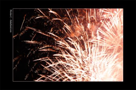 Hanabi_FW5.JPG