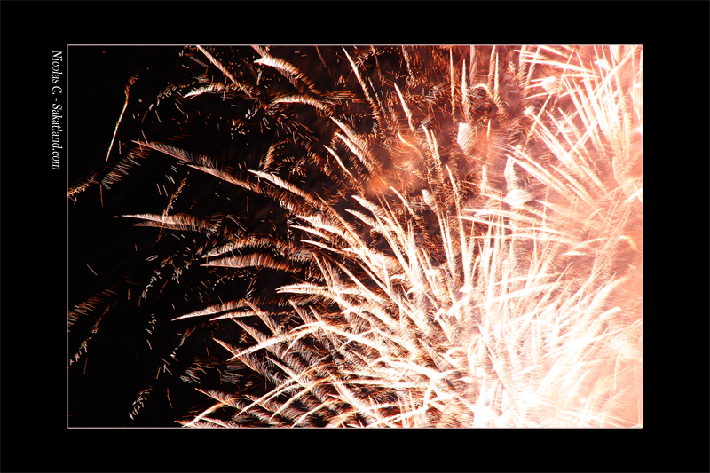 Hanabi_FW5.JPG