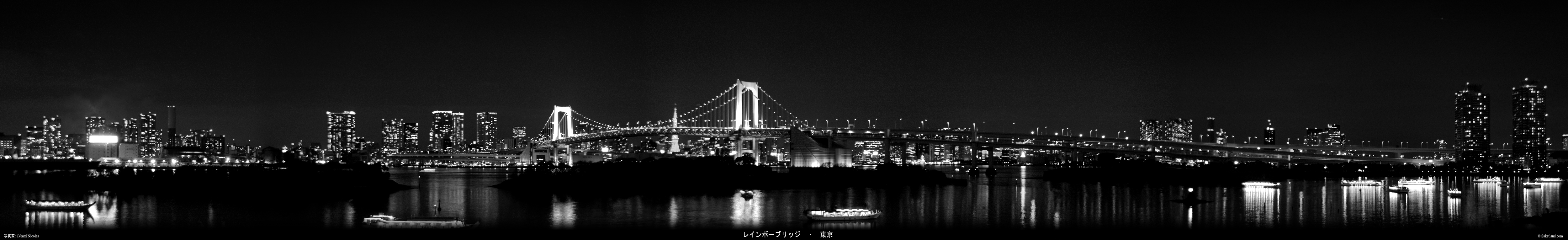 Odaiba_Pano_BW.jpg