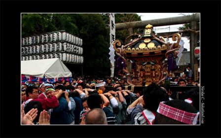 Sanjasama_Mikoshi5.jpg