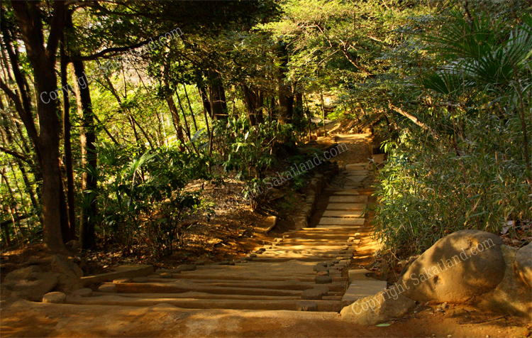 Shin_Edogawa_Koen4.jpg