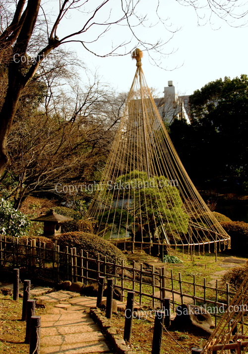 Shin_Edogawa_Koen5.jpg