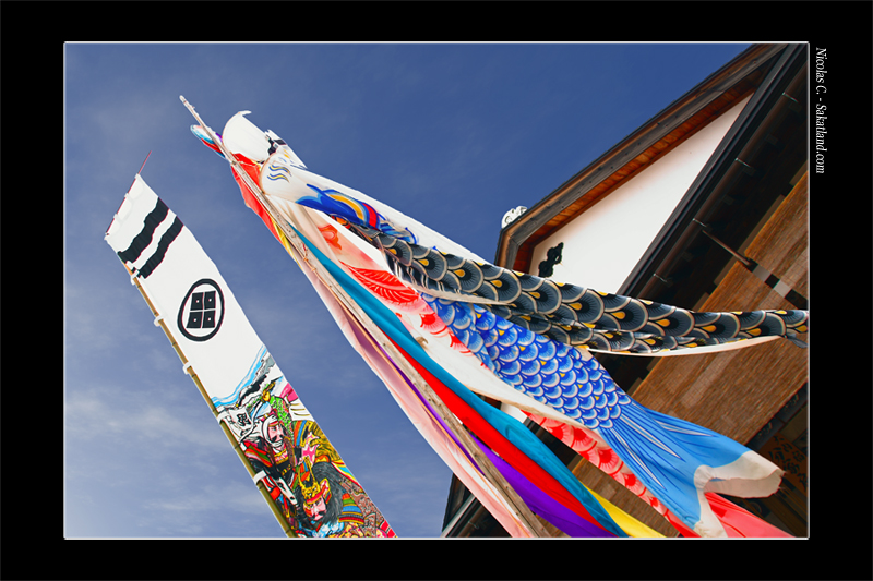 Trip_Junko_Koinobori.jpg