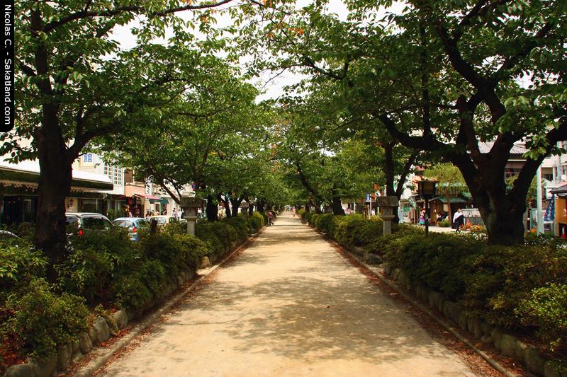 Vane_Tokyo_Kamakura2.JPG