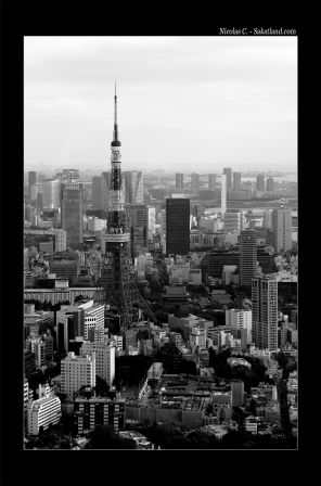 With_Lan_Tokyo_Tower.jpg