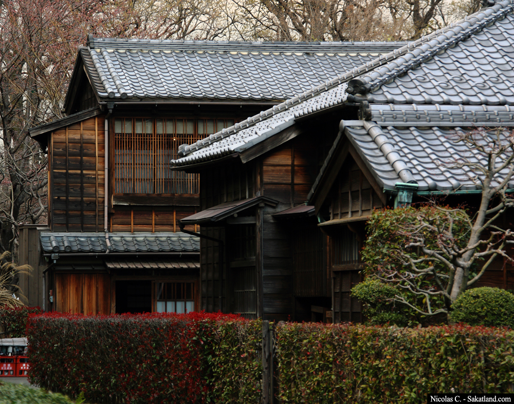 Dav_Day5_House.jpg