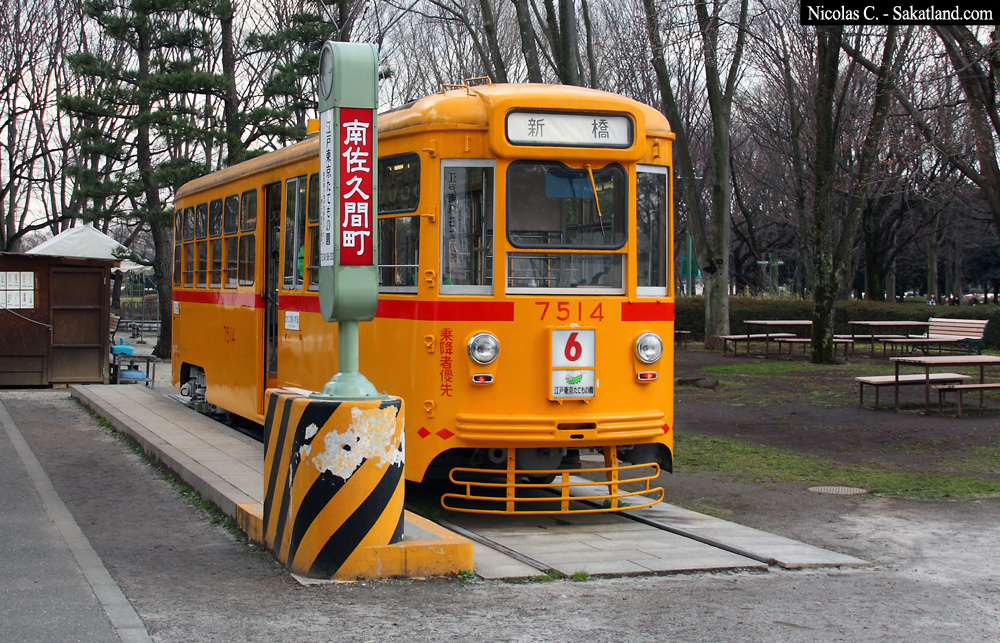 Dav_Day5_Tram.jpg