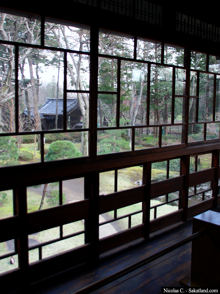 Dav_Day5_Window2.jpg