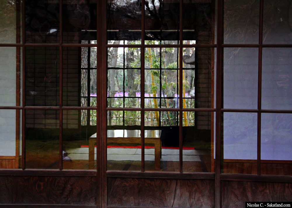 Dav_Day5_Window4.jpg