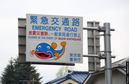 Emergency_Road.jpg