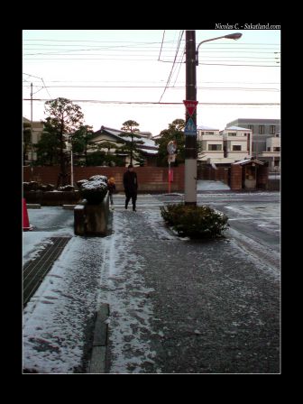 Snow_Tokyo.JPG