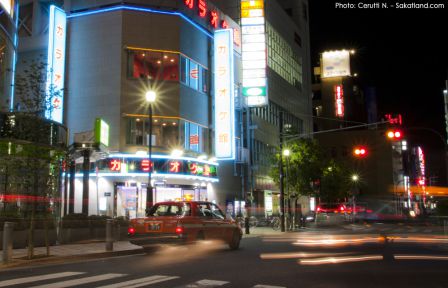Nishikasai_by_night_Street2.JPG