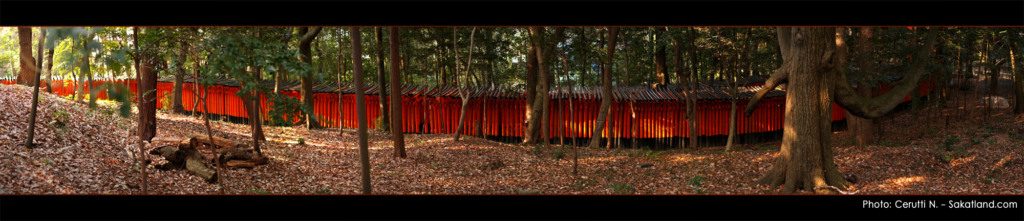 Fushimi_Pano.jpg