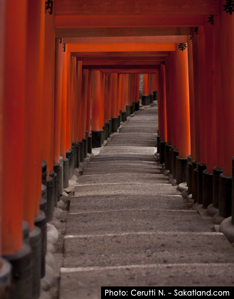 Fushimi_Tori11.jpg