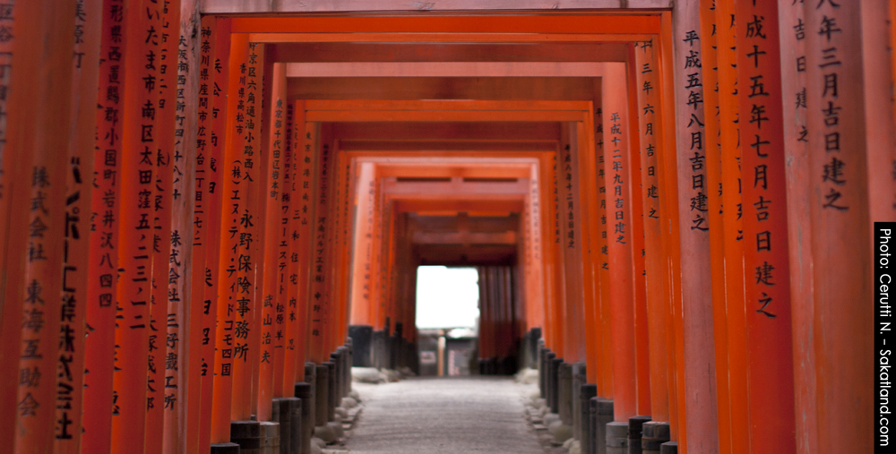 Fushimi_Tori12.jpg