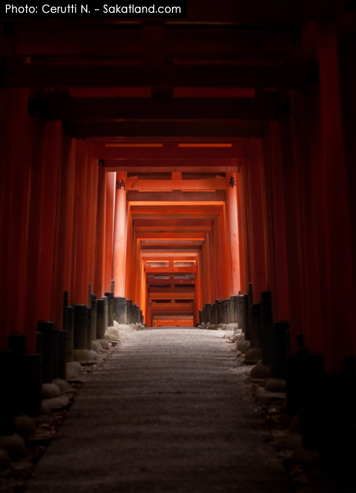 Fushimi_Tori14.jpg