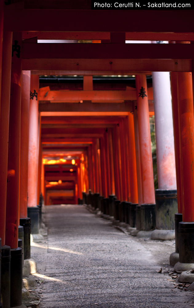 Fushimi_Tori15.jpg