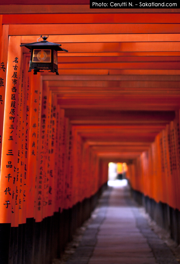 Fushimi_Tori17.jpg