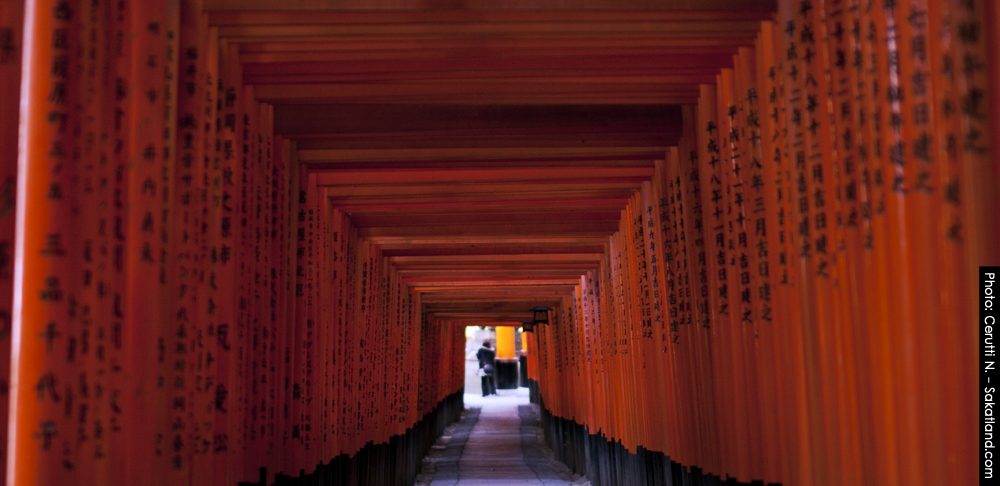 Fushimi_Tori18.jpg