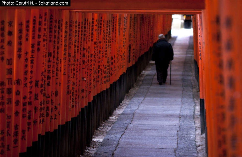 Fushimi_Tori19.jpg
