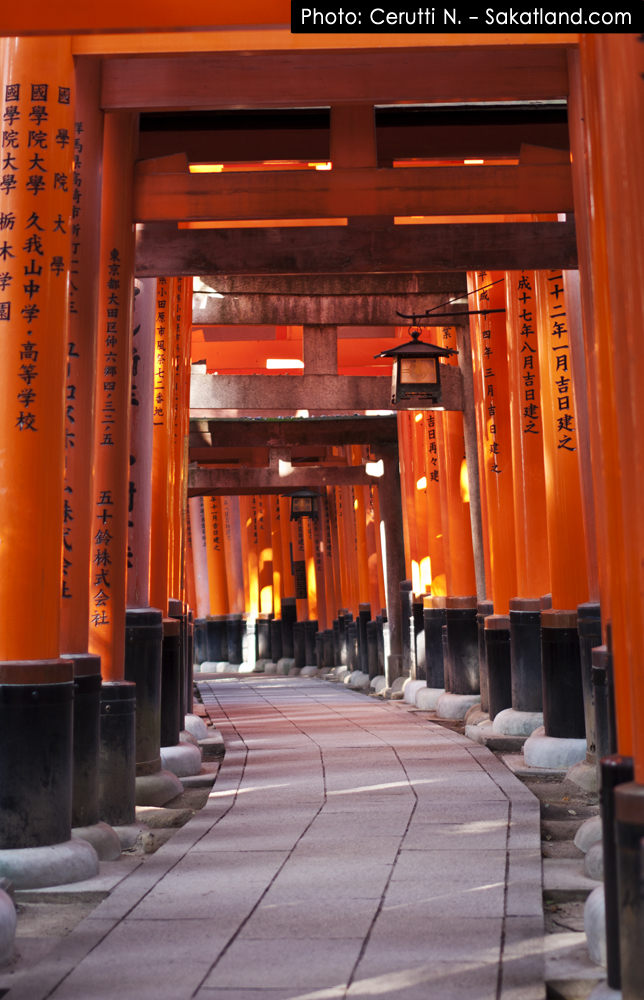 Fushimi_Tori20.jpg