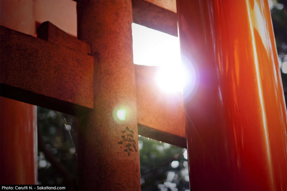 Fushimi_Tori21.jpg