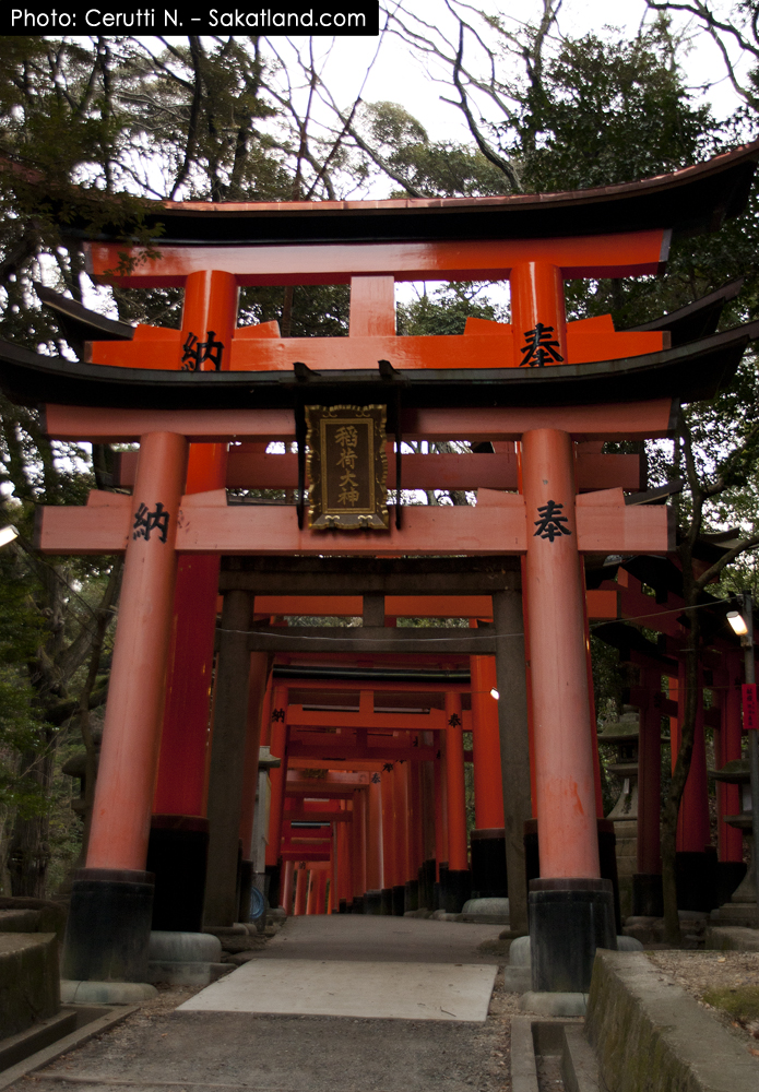 Fushimi_Tori4.jpg