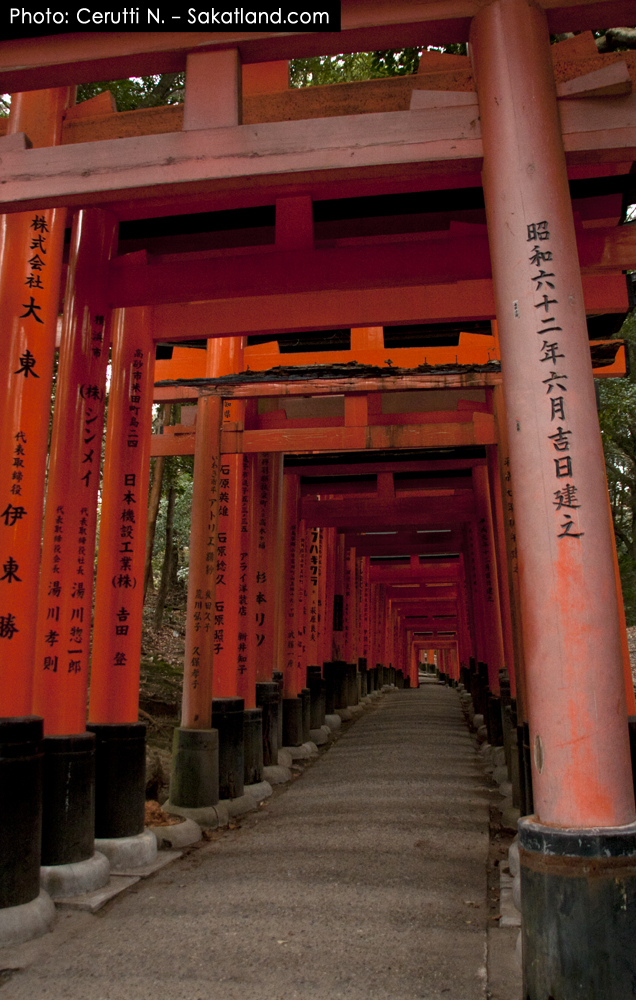 Fushimi_Tori5.jpg