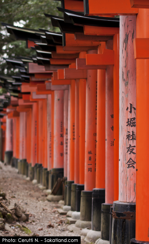 Fushimi_Tori9.jpg