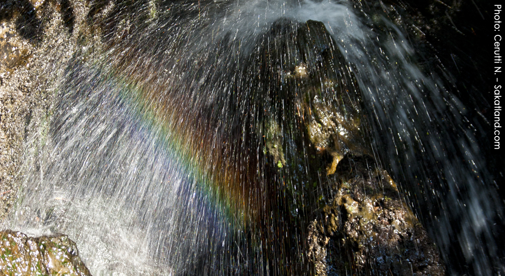 Kinkakuji_Rainbow.jpg